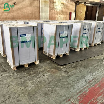 BMPAPER giấy chống lỏng màu trắng và nâu Cupstock giấy lót với lớp phủ PE