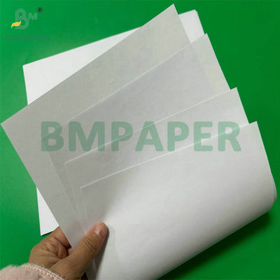 90gm 100gm Không phủ 20,5' cuộn giấy liên kết màu trắng cho ly nước hình nón
