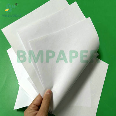 90gm 100gm Không phủ 20,5' cuộn giấy liên kết màu trắng cho ly nước hình nón
