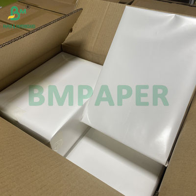 Bảng giấy bấm bấm bấm bấm bấm bấm bấm bấm bấm bấm bấm bấm bấm bấm bấm bấm bấm bấm bấm bấm bấm bấm bấm bấm bấm bấm bấm bấm bấm bấm bấm bấm bấm bấm bấm bấm bấm bấm bấm bấm bấm bấm bấm bấm bấm bấm bấm bấm bấm bấm bấm bấm bấm bấm bấm bấm bấm bấm bấm bấm bấm bấm bấm bấm bấm bấm bấm bấm bấm bấm bấm bấm bấm bấm bấm bấm bấm bấm bấm bấm bấm bấm bấm bấm bấm bấm bấm bấm bấm bấm bấm bấm bấm bấm bấm bấm bấm bấm bấm bấm bấm bấm bấm bấm bấm bấm bấm bấm bấm bấm