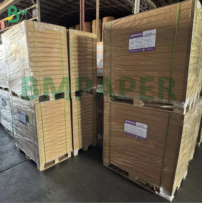 CB CFB CF Bảng giấy NCR đa màu không carbon 8.5'*11'