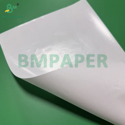 1 mặt giấy phủ PE giấy kraft trắng 40g + 10g kích thước 36 x 25 inch