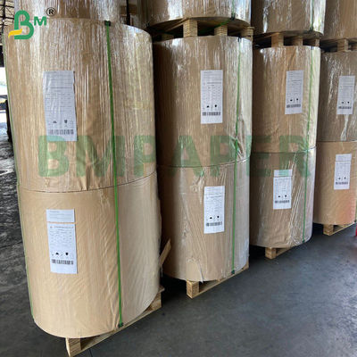 Kit3 Kit5 Kit7 Giấy chống mỡ có thể phân hủy cho bao bì thực phẩm chiên