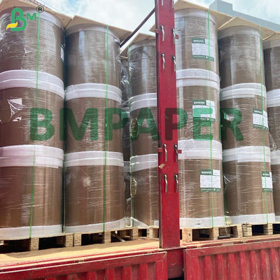 Giấy kraft PE màu trắng một mặt chất lượng cao cho bao bì thực phẩm