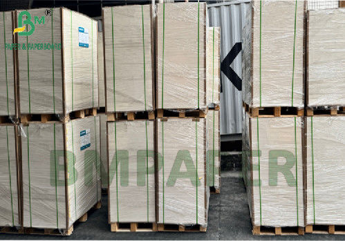 300g 350g 900mm 1000mm Bảng giấy SBS lớp thực phẩm được phủ