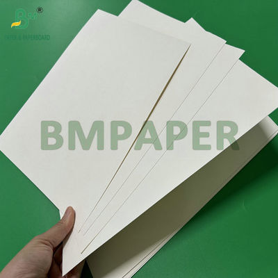 300g 350g 900mm 1000mm Bảng giấy SBS lớp thực phẩm được phủ