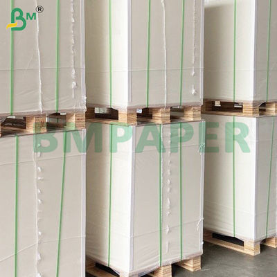Tiền nhận Bảng giấy sao chép không carbon với tính năng hình ảnh màu đen / xanh dương