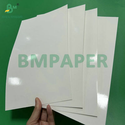 275g + 15 PE 1100mm Bảng giấy đông lạnh có lớp thực phẩm