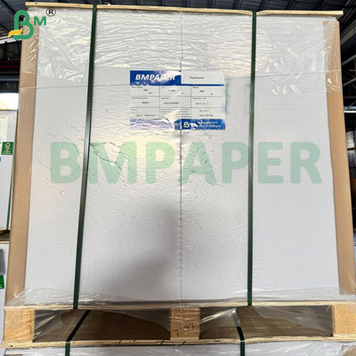 BMPAPER Cupstock giấy cho ly kem chén với PE lớp phủ 1 mặt