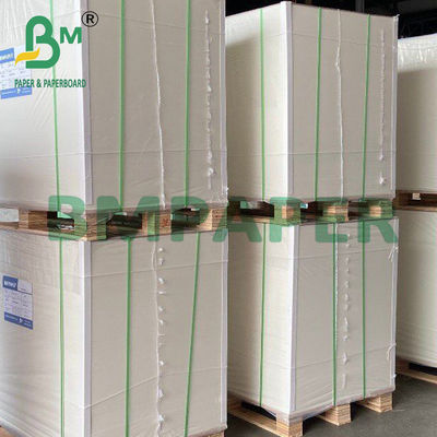 200g White Cup Bowl Stock Paper Food Grade Sigle Side PE phủ tấm