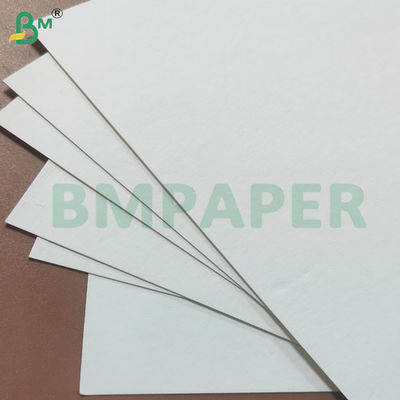 Bảng giấy hấp thụ nước màu kem không sơn cho áo lót