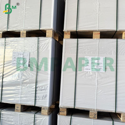 Bảng giấy hấp thụ nước màu kem không sơn cho áo lót