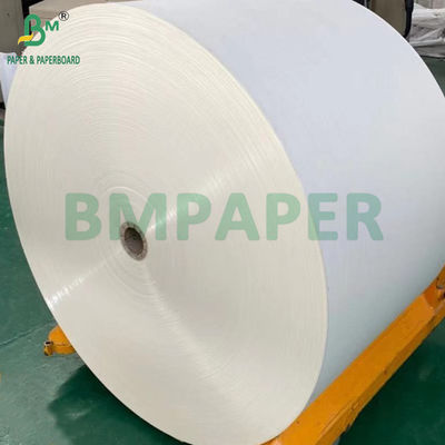 240gm + 18g PE phủ giấy Cupstock cho khay thảm chống nước 650mm