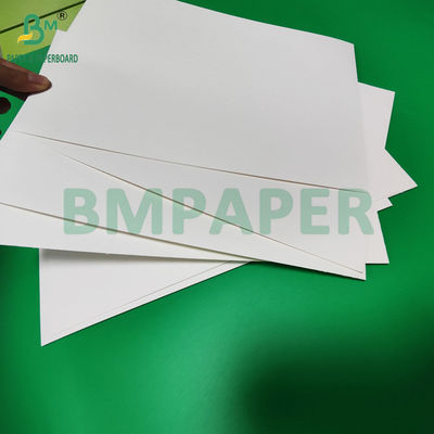 240gm + 18g PE phủ giấy Cupstock cho khay thảm chống nước 650mm