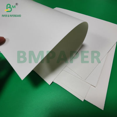 240gm + 18g PE phủ giấy Cupstock cho khay thảm chống nước 650mm