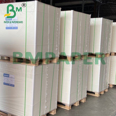 250g + 20g Cup Base Paper Side Side PE Coated Board 70 * 100cm