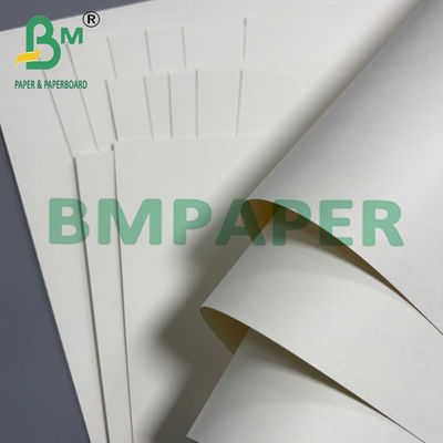 250g + 20g Cup Base Paper Side Side PE Coated Board 70 * 100cm