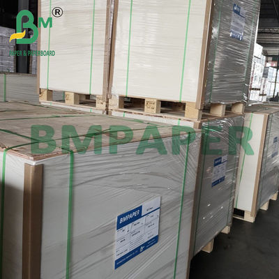 250g + 20g Cup Base Paper Side Side PE Coated Board 70 * 100cm