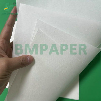 50g Bamboo Pulp Coffee Filters Paper With Jumbol Roll Chiều rộng 308mm Màu trắng