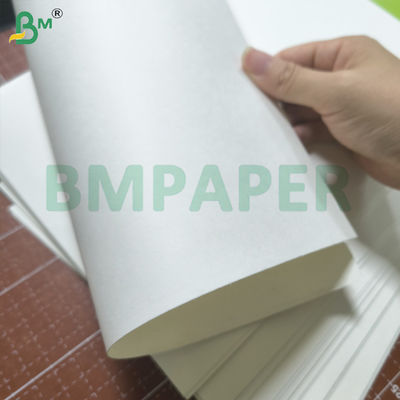 Giấy đĩa trắng chống lỏng với lớp phủ polyethylene một bên