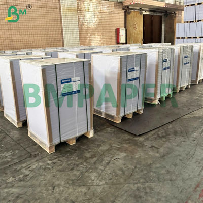Giấy đĩa trắng chống lỏng với lớp phủ polyethylene một bên