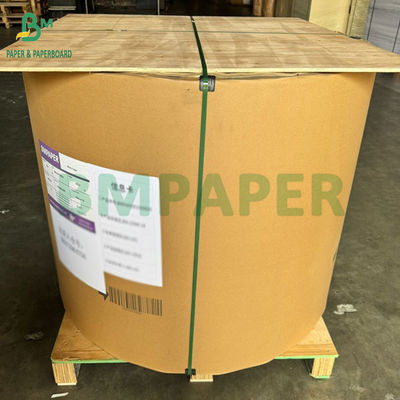 140gr 200gr White Top Kraft Backboard Cho hộp giày 70cm 100cm 115cm Roll