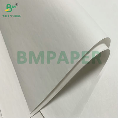 Bạch cao 48gm 55gm giấy nhận nhiệt Jumbo Roll