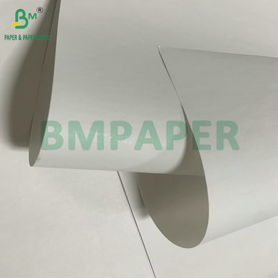 Bạch cao 48gm 55gm giấy nhận nhiệt Jumbo Roll