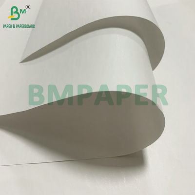Bạch cao 48gm 55gm giấy nhận nhiệt Jumbo Roll