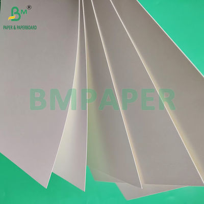 210gsm 230gsm 15g PE Matte Coating White Cup Paper Để làm ly cà phê