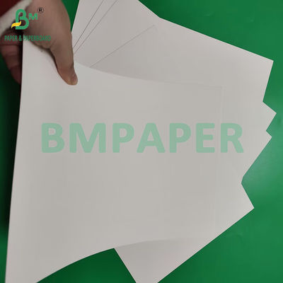 210gsm 230gsm 15g PE Matte Coating White Cup Paper Để làm ly cà phê