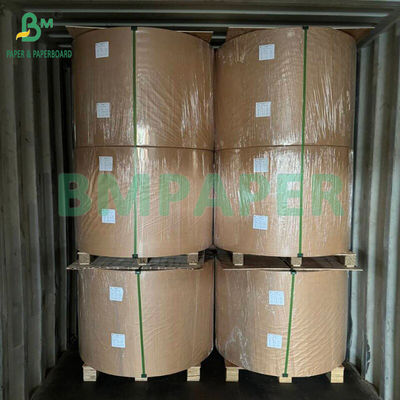 210gsm 230gsm 15g PE Matte Coating White Cup Paper Để làm ly cà phê