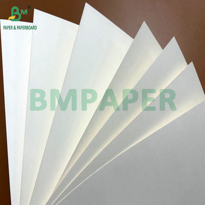 240g 260g Bột tinh khiết in được CupStock giấy để làm ly cà phê 90cm 105cm