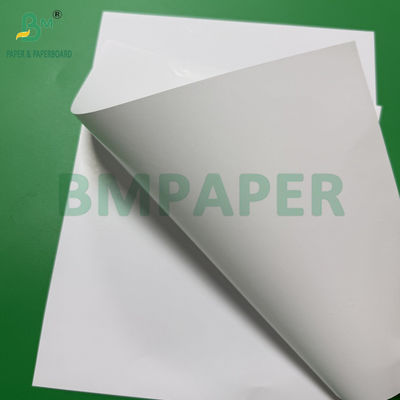 40 - 90gm giấy bọc trái cây màu trắng cho nho rau bọc chống nước