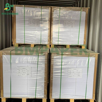 230g - 300g PET chất lượng thực phẩm Liner Tray Rolls cho lò nhiệt độ cao