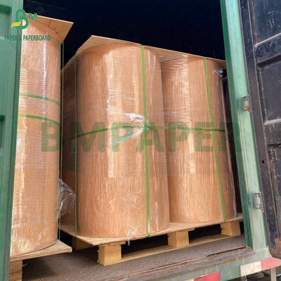 260g 280g + 10g Biodegradable không có nhựa giấy phủ nước cho ly
