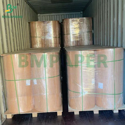 260g 280g + 10g Biodegradable không có nhựa giấy phủ nước cho ly