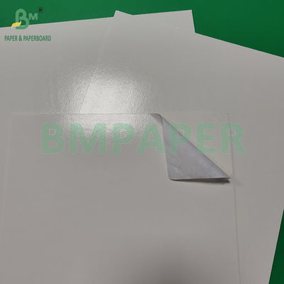 300+15gm Glossy Pe phủ lớp thực phẩm giấy trắng đóng gói sản phẩm đông lạnh