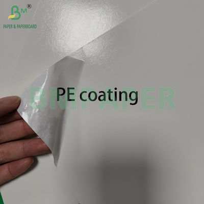 300+15gm Glossy Pe phủ lớp thực phẩm giấy trắng đóng gói sản phẩm đông lạnh