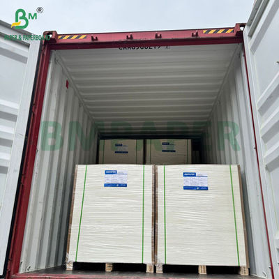 240g +15PE phủ 1 mặt Cupstock giấy cho ly uống 31 x 43 inch Waterproof 100%
