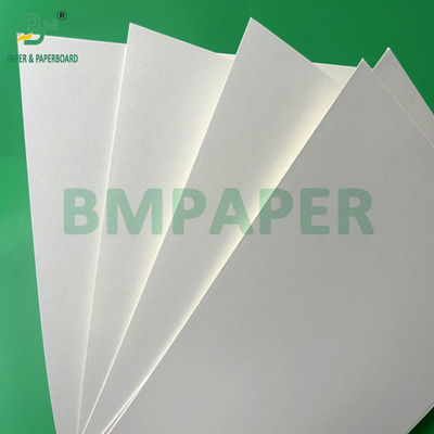 240g +15PE phủ 1 mặt Cupstock giấy cho ly uống 31 x 43 inch Waterproof 100%