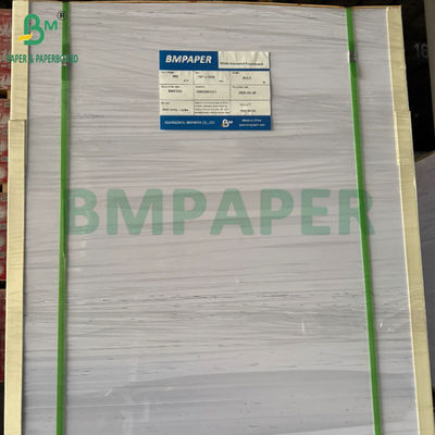 240g +15PE phủ 1 mặt Cupstock giấy cho ly uống 31 x 43 inch Waterproof 100%