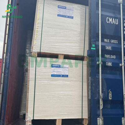 330gm 300gm White Sulphate Paperboard C1S Ivory Board 700x1000mm