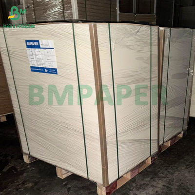 330gm 300gm White Sulphate Paperboard C1S Ivory Board 700x1000mm