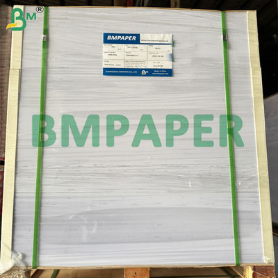 Lớp phủ PET Chất chứa an toàn thực phẩm Bảng giấy chống nhiệt độ để làm nóng lại thực phẩm