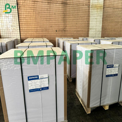 Lớp phủ PET Chất chứa an toàn thực phẩm Bảng giấy chống nhiệt độ để làm nóng lại thực phẩm