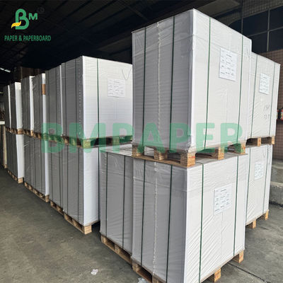 315gm chống nước và chống dầu chống ẩm PET phủ giấy hộp ăn trưa