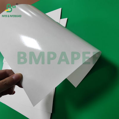 300g PET Laminated Food Grade Tray Liner Paper Rolls 635mm Nhiệt độ cao