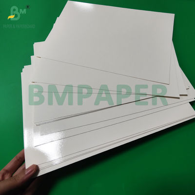 300g PET Laminated Food Grade Tray Liner Paper Rolls 635mm Nhiệt độ cao