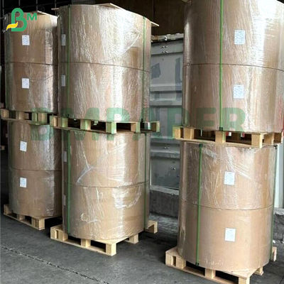 PET chống mỡ chống nước Bảng giấy phủ một mặt màu trắng 200gsm 300gsm 400gsm Cho hộp thức ăn trong lò vi sóng